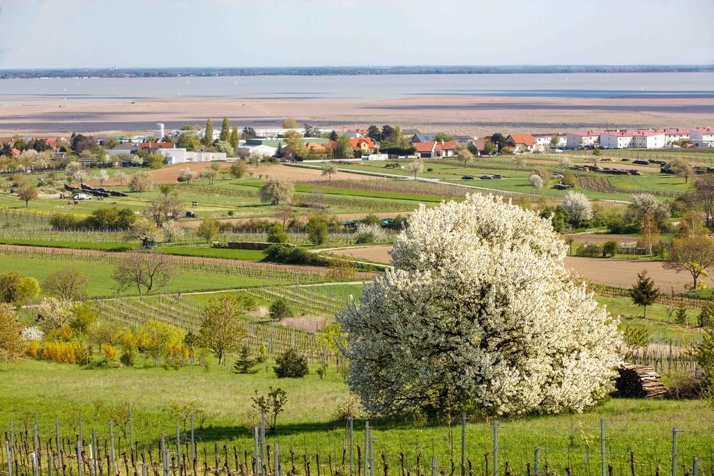 Country Lake Villa Брайтенбрун Екстериор снимка